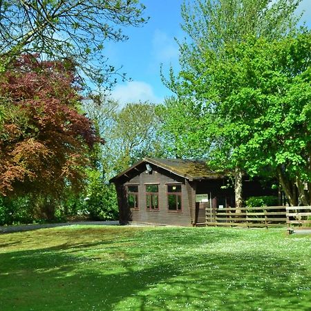 37 Trevithick Court, Tolroy Manor Villa Hayle Buitenkant foto